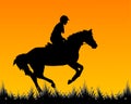 Rider on a horse galloping at a gallop Royalty Free Stock Photo